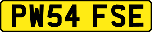 PW54FSE