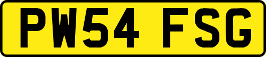 PW54FSG