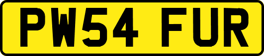 PW54FUR