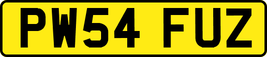 PW54FUZ