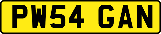 PW54GAN