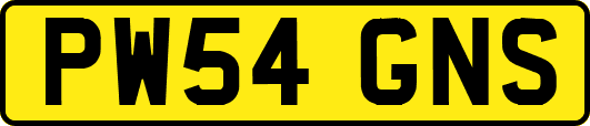 PW54GNS