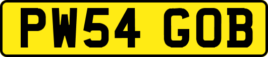 PW54GOB