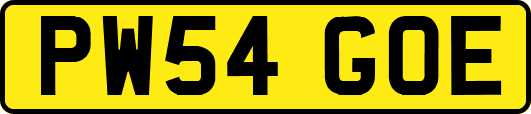 PW54GOE