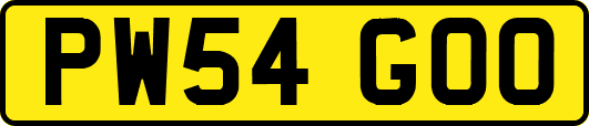 PW54GOO
