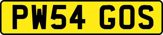 PW54GOS