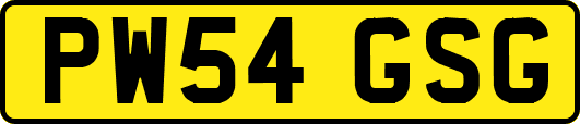 PW54GSG