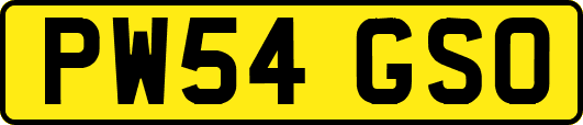 PW54GSO