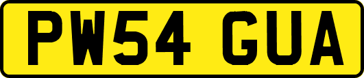 PW54GUA