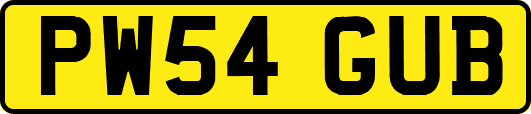 PW54GUB
