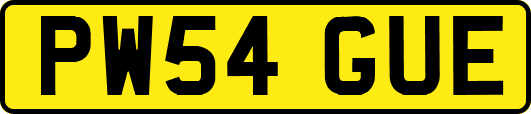 PW54GUE
