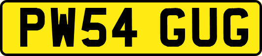 PW54GUG