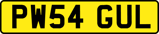 PW54GUL