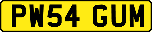 PW54GUM