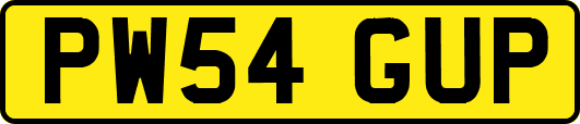 PW54GUP