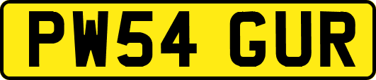 PW54GUR