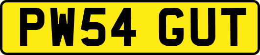 PW54GUT