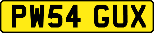 PW54GUX