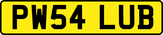 PW54LUB