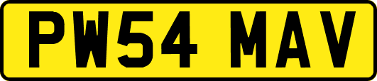 PW54MAV