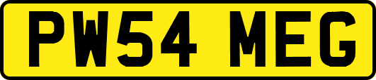 PW54MEG