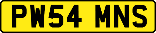 PW54MNS
