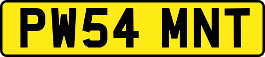 PW54MNT