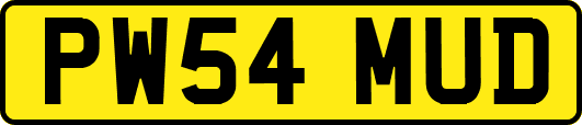 PW54MUD