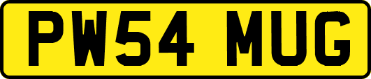 PW54MUG