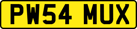 PW54MUX