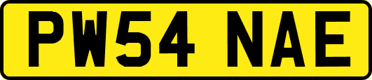 PW54NAE