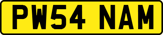 PW54NAM