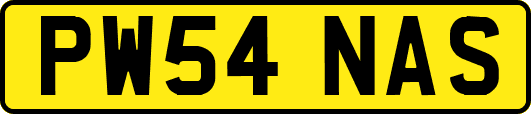 PW54NAS