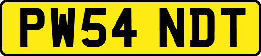 PW54NDT