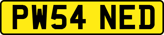 PW54NED