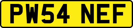 PW54NEF
