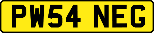 PW54NEG