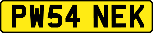 PW54NEK