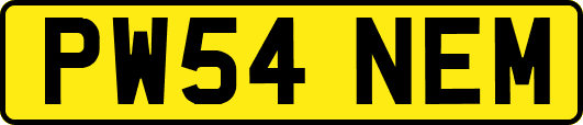 PW54NEM