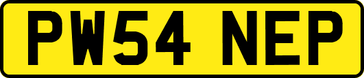 PW54NEP