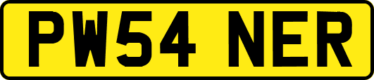 PW54NER