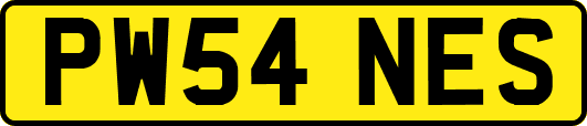 PW54NES