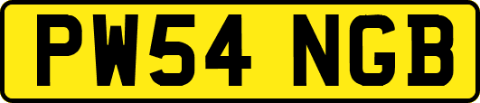 PW54NGB