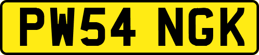 PW54NGK