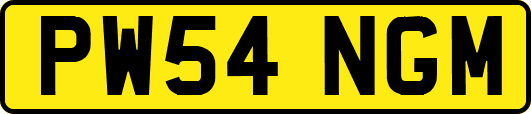 PW54NGM