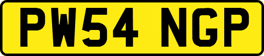 PW54NGP