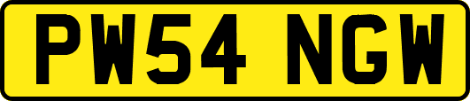 PW54NGW