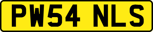PW54NLS