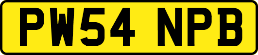 PW54NPB