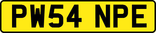 PW54NPE